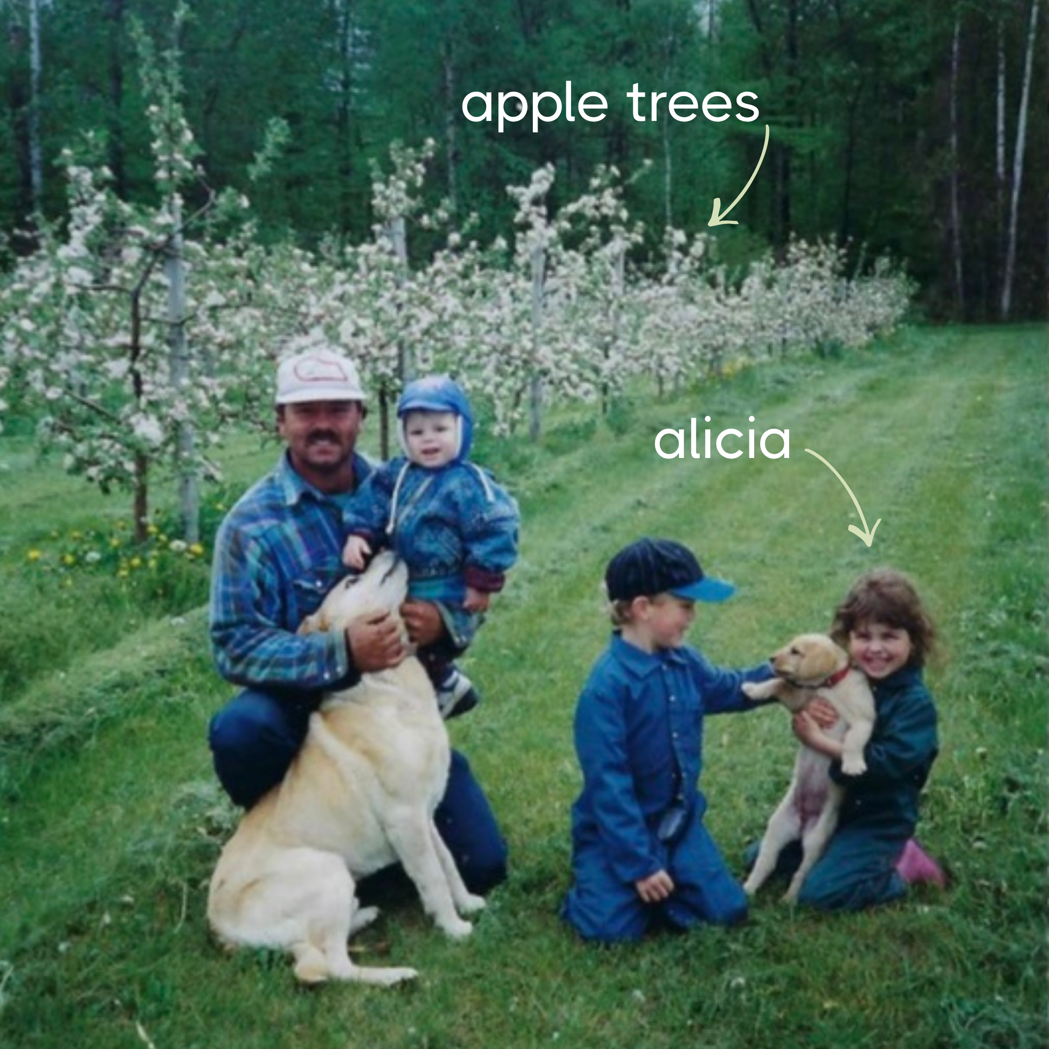 Family with dogs in an orchard labeled 'apple trees' and 'alicia'.