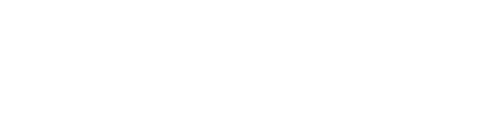 Quism logo in white